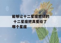 能够让十二星座感动的 十二星座把真爱给了哪个星座