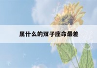 属什么的双子座命最差(属什么的双子座命最差水平座今日运势)