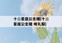 十二星座公主裙(十二星座公主裙 晚礼服)