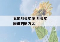 更像月亮星座 月亮星座谁的魅力大