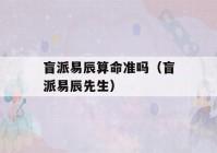 盲派易辰看八字准吗（盲派易辰先生）