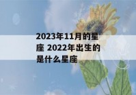 2023年11月的星座 2022年出生的是什么星座