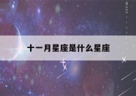 十一月星座是什么星座(十一月份的星座是谁)