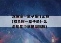 双鱼座一辈子是什么命(双鱼座一辈子是什么命明星中谁是摩羯座)