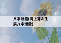 八字泄露(网上看八字生辰八字泄露)