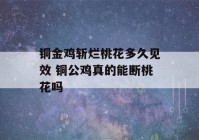 铜金鸡斩烂桃花多久见效 铜公鸡真的能断桃花吗