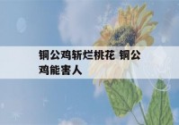 铜公鸡斩烂桃花 铜公鸡能害人