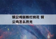 铜公鸡斩断烂桃花 铜公鸡怎么开光