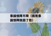 泰国情降不降（我用泰国情降挽回了他）