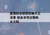 感情和合斩桃花破小三法事 和合术可以帮助小三吗