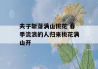 夫子斩落满山桃花 春季流浪的人归来桃花满山开