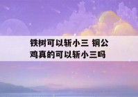 铁树可以斩小三 铜公鸡真的可以斩小三吗