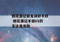 桃花源记斩龙诀好不好 桃花源记手游69药王还是龙隐