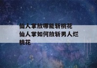 仙人掌放哪能斩桃花 仙人掌如何放斩男人烂桃花