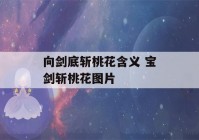 向剑底斩桃花含义 宝剑斩桃花图片