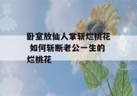 卧室放仙人掌斩烂桃花 如何斩断老公一生的烂桃花