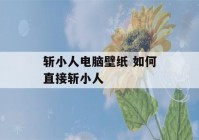 斩小人电脑壁纸 如何直接斩小人