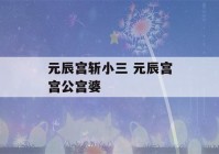 元辰宫斩小三 元辰宫宫公宫婆