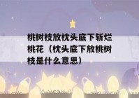 桃树枝放枕头底下斩烂桃花（枕头底下放桃树枝是什么意思）