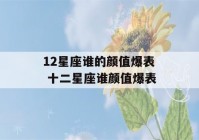 12星座谁的颜值爆表 十二星座谁颜值爆表