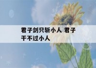 君子剑只斩小人 君子干不过小人