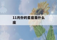 11月份的星座是什么座(11月的星座是什么座?)