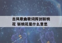 古风歌曲歌词挥剑斩桃花 斩桃花是什么意思