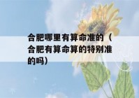 合肥哪里有看八字准的（合肥有看八字算的特别准的吗）