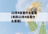 12月4日是什么星座(农历12月4日是什么星座)