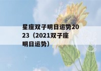 星座双子明日运势2023（2021双子座明日运势）