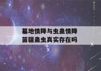 墓地情降与虫蛊情降 苗疆蛊虫真实存在吗