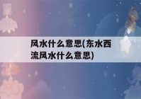 风水什么意思(东水西流风水什么意思)