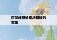 阿赞魄那通墓地情降的效果