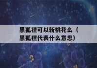 黑狐狸可以斩桃花么（黑狐狸代表什么意思）