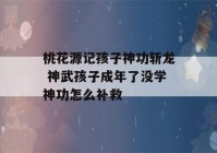 桃花源记孩子神功斩龙 神武孩子成年了没学神功怎么补救