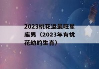 2023桃花运最旺星座男（2023年有桃花劫的生肖）