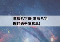 生辰八字图(生辰八字图的天干啥意思)