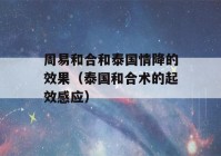 周易和合和泰国情降的效果（泰国和合术的起效感应）