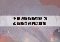 不是说好斩断桃花 怎么斩断自己的烂桃花