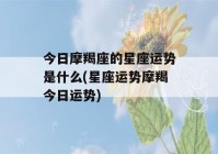 今日摩羯座的星座运势是什么(星座运势摩羯今日运势)