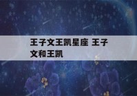 王子文王凯星座 王子文和王凯