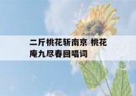 二斤桃花斩南京 桃花庵九尽春回唱词