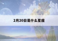 2月20日是什么星座(2月20日是什么星座男生)