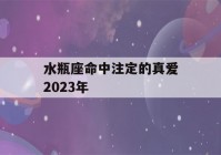 水瓶座命中注定的真爱2023年(2021年水瓶感情宿命)