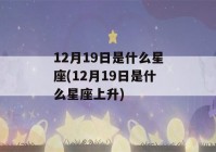 12月19日是什么星座(12月19日是什么星座上升)