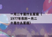 一月二十是什么星座（1977年农历一月二十是什么星座）