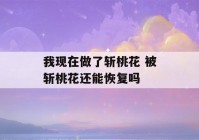 我现在做了斩桃花 被斩桃花还能恢复吗