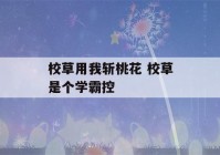 校草用我斩桃花 校草是个学霸控