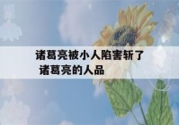 诸葛亮被小人陷害斩了 诸葛亮的人品