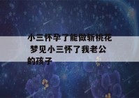 小三怀孕了能做斩桃花 梦见小三怀了我老公的孩子